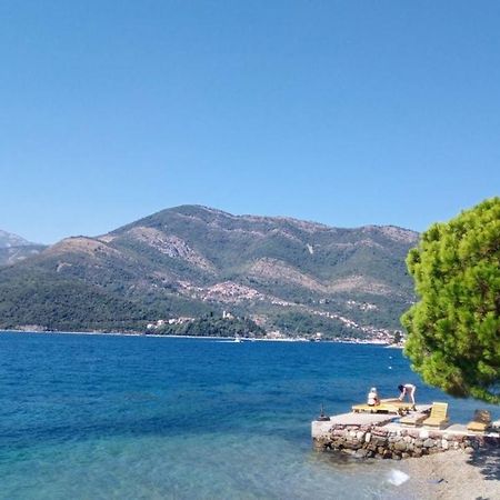 Olive Tree Apartments Tivat Exterior photo