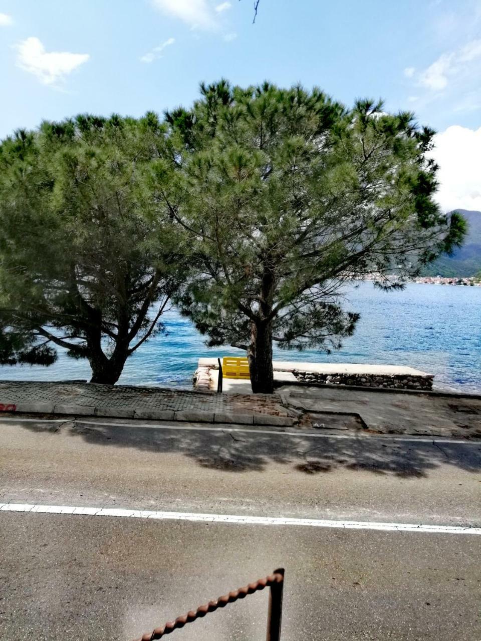 Olive Tree Apartments Tivat Exterior photo